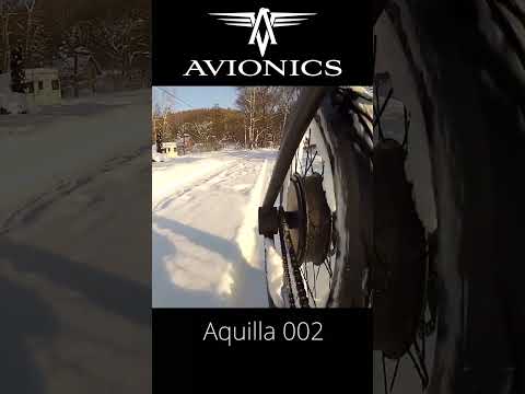 AQUILLA 002 #avionics