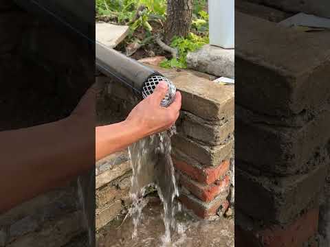 The best solution for preventing rats!