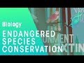 Conservation and Endangered Species