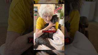 Fue abandonado por su familia pero ganó 75 abuelitos ❤️ #sabiasque #curiosidades