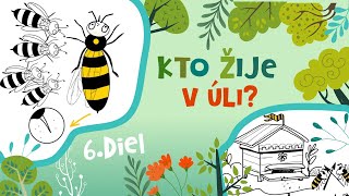 "Záhady z lesa a záhrady #6" - "Kto žije v úli?" alebo "Trúd, včela a kráľovná" - video pre deti