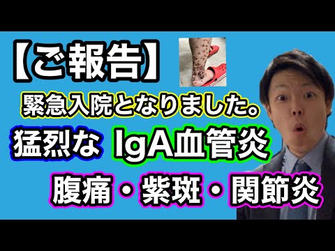 【ご報告】IgA血管炎で緊急入院となり、休職になってしまいました。