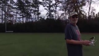 DJI 0913