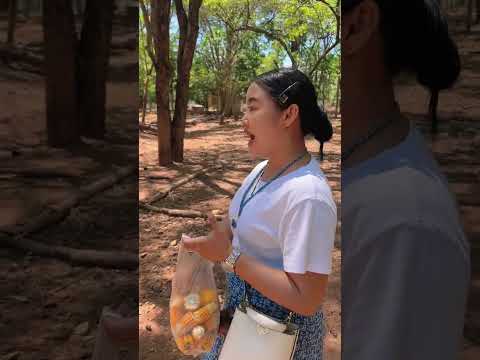 อ้ายทิวคุณฝ้ายอยากจะเที่ยวep.2วัดไกลกังวล | ถะโหล่โถ่ดาก
