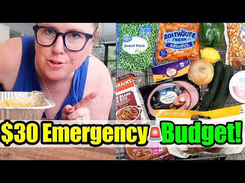 🚨$30 Emergency Budget Walmart Meal Plan! Chicken Orzo Soup, Red Beans & Rice