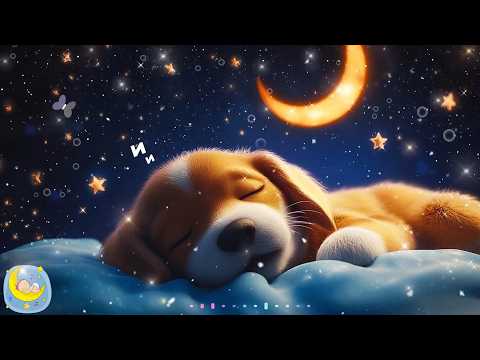 Cancion de Cuna Mozart, Música para Dormir Bebés #415 Mozart para Bebes estimulacion inteligencia