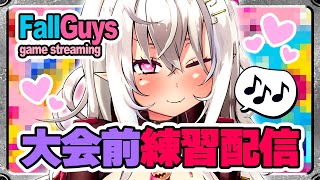 【FallGuys/ゲーム実況】大会前練習配信っ♡【Vtuber/山田テュテュル】