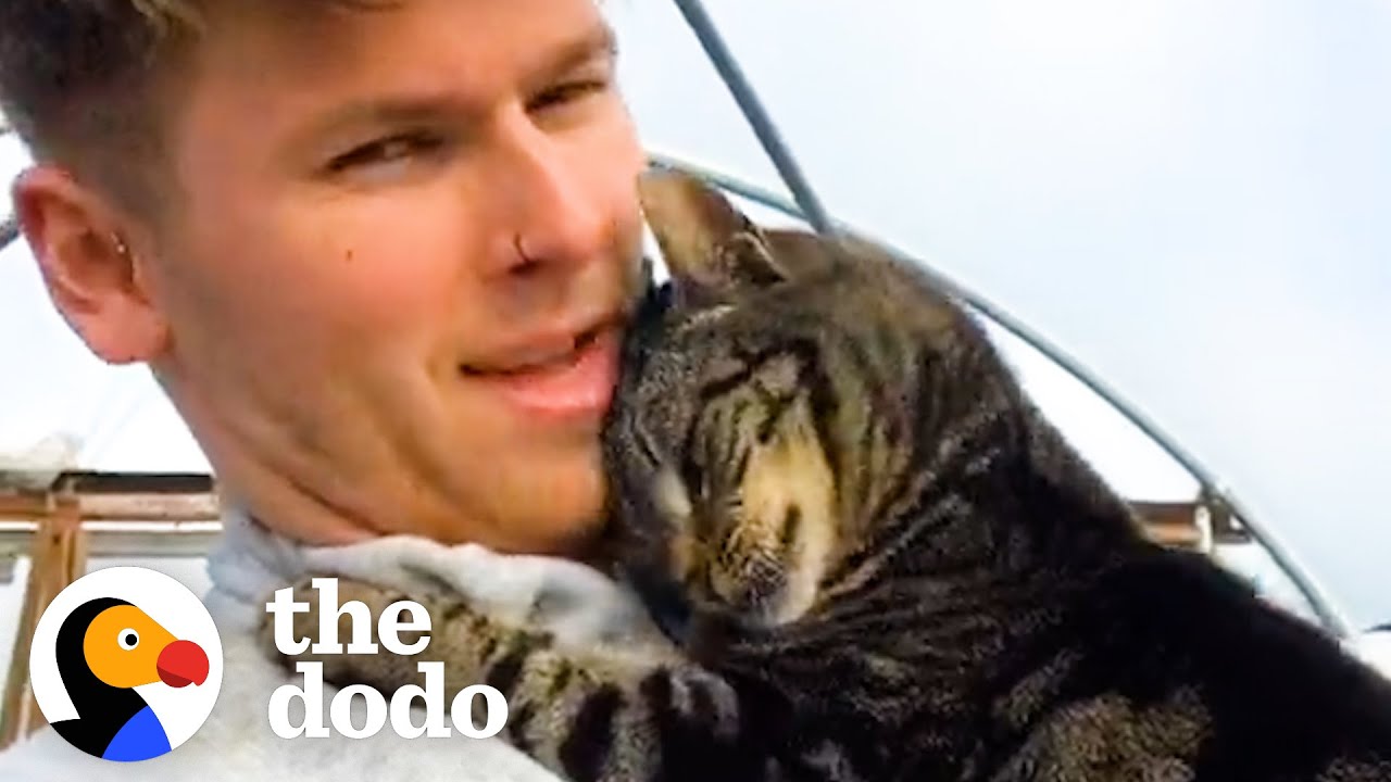 Cat Gives Her Dad Hugs All Day, Every Day Cat Crazy