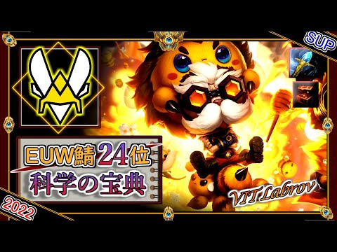 【EUW鯖チャレ24位】究極ガイド！VIT Labrovの「ハイマーSUP」！【チャレ上位帯のソロQ解説】LoL Heimerdinger