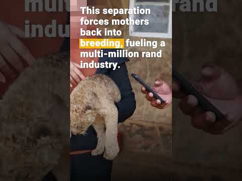 A Mother's Bond #BreakTheViciousCycle | FOUR PAWS