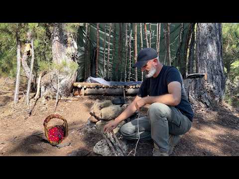 Solo Bushcraft Trip - Natural Shelter with Bed - Cranberry Sherbet, Wild Plum Bread, Basket Weaving