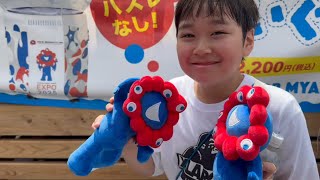 動画サムネイル