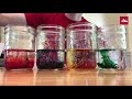 Rainbow Celery Experiment Concepts