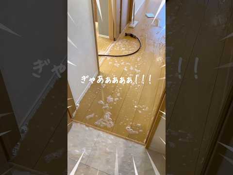 【絶望】寝不足育児、名もなき家事が爆発した朝😵💥‼️#育児 #子育て #shorts #家事 #赤ちゃんのいる生活