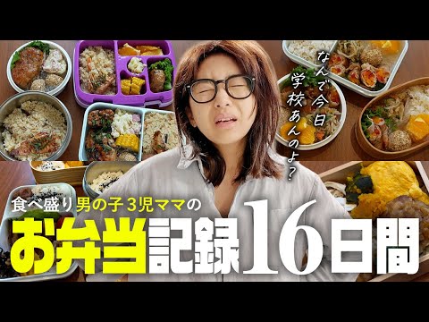 高校生2人小学生1人✨3兄弟ママの毎日のお弁当作り16日間の実録【アラフォー】