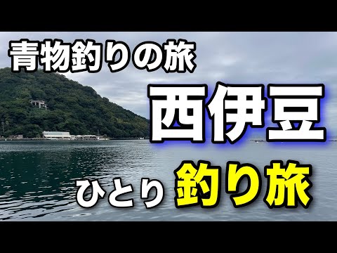 秋のハイシーズン青物が連発⁉︎西伊豆に釣り旅に行く事にした！