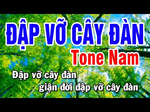 Karaoke Đập Vỡ Cây Đàn – Tone Nam Dễ Hát Nhạc Sống Huỳnh Lê