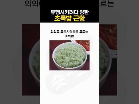 유행시키려다 망한 초록밥 근황