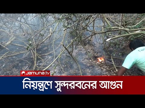নিয়ন্ত্রণে সুন্দরবনের আগুন, পুড়ে ছাই দুই কিলোমিটার এলাকা | Sundarbans Fire | Jamuna TV