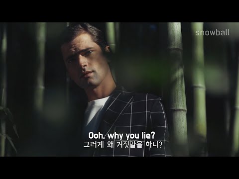 이 상황 데자뷰..같은데?ㅣRealestK - Deja Vu (가사해석 by 스노우볼)