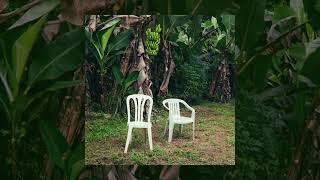  Bad Bunny - NUEVAYoL (Matt Sawyer, Chris Leon Remix)