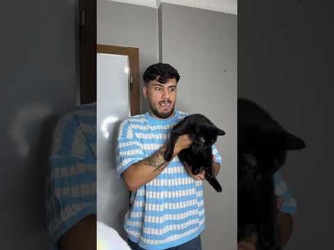Vampir bulduğu her şeyi yedi Hasan Sönmez yeni video #shortsvideo #hefc #sorts