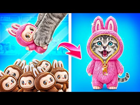 Save This Tiny Cat! Secret Hacks for Pet Owners! How to Take Care of Your Pets