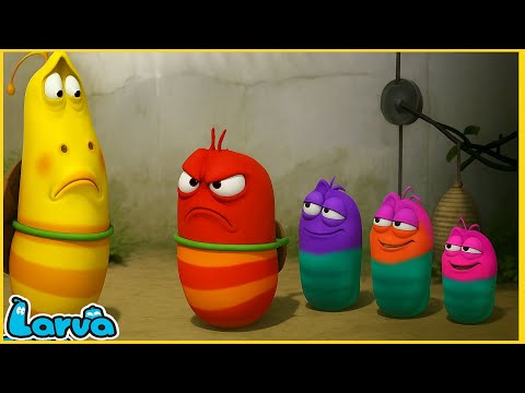 LARVA ĐỐI ĐẦU - ẤU TRÙNG TINH NGHỊCH - PHIM HOẠT HÌNH LARVA MỚI NHẤT 2025