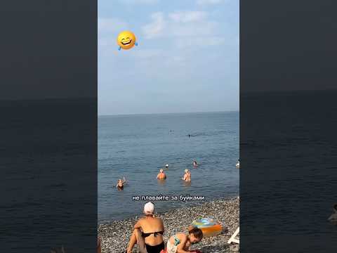 🤣Когда иные аргументы уже не действуют😄🌊Стая дельфинов это вам не шутки🐬😉