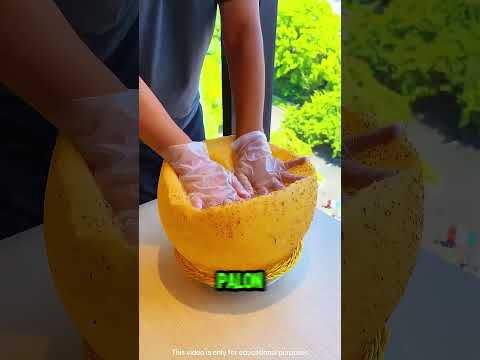 Küçük Top Balona Dönüştü! 🎈🤣