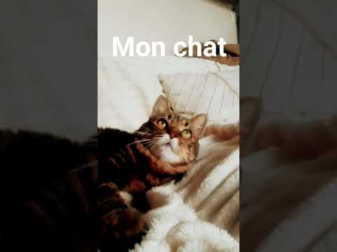 abonner vous je rend et liker