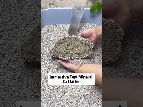 Mineral cat litter export. Cat litter china supplier. Pet supplies import #petcare #cat  #petfoods
