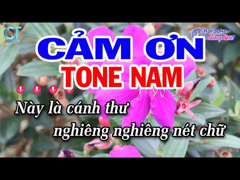 Karaoke Cảm Ơn Tone Nam Dm || Nhạc Sống Mới || Karaoke Đồng Sen