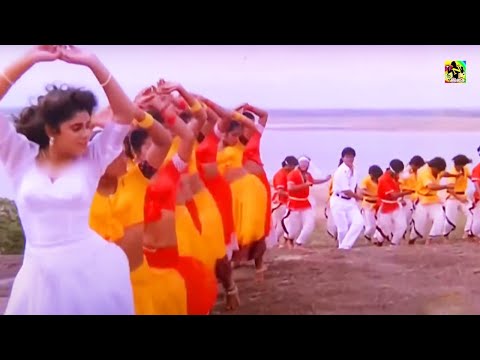 இரவில் எத்தனை முறை கேட்டும் மீண்டும் மீண்டும் கேட்கத் தூண்டும் பாடல்கள்#Tamil Evergreen Melody Songs