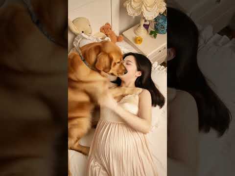 金毛翻身爬上來要聽胎心，結果聽到的是...#funny #cute #狗訓練 #pets #newborn #puppy #goldenretriever #animals #寵物友善日常