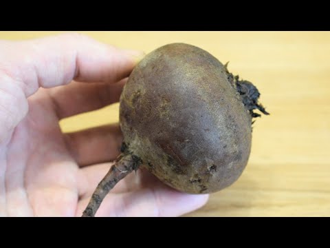 Съедят за минуту! Новый салат из Свеклы на каждый день и на праздник!
