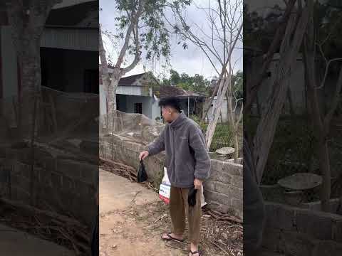 Tên cướp đen đủi | Tippi TV #tippitv #tippivips