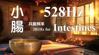 528Hz + 281Hz Intestines frequency 小腸 共振頻率  |  Singing Bowl Healing Sound 頌缽療癒音頻  | 冥想 | EP565