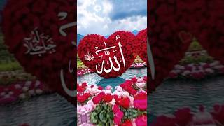 ইসলামিক ভিডিও #trending #shorts #viral #islamicstatus