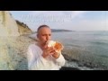 Understanding and Playing the Shell Instrument