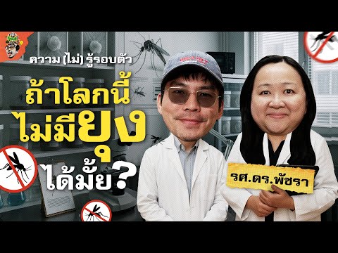 ยุงมีประโยชน์อะไร โลกนี้ไม่มียุงเลยได้ไหม? | ความ(ไม่)รู้รอบตัว