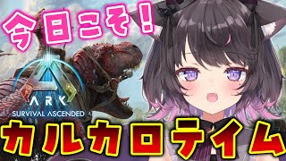 【ARK Survival Ascended】初心者ソロARK！今日こそ全ロスせずに130レベのカルカロテイム！（息切れ）【Vtuber /