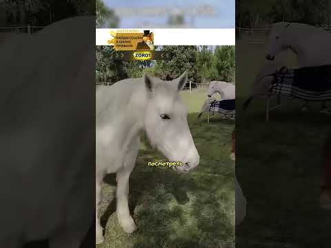 Поставь Лайк если любишь маму ❤️
