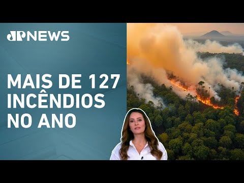 Amazônia registra em 2024 maior número de queimadas em 17 anos; Patrícia Costa analisa