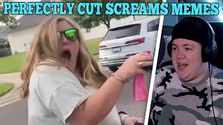 Perfectly Cut Screams Memes 41 | REAKTION