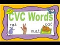 Exploring CVC Words with Phoneme Fingers