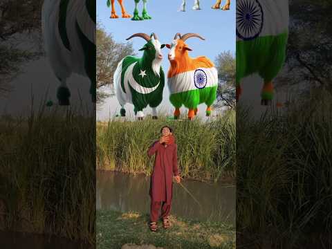 Bakra Laray ll 😁😁ll #trending #funny #viral #shorts #islamic