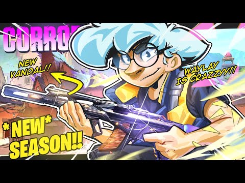 THIS *NEW* WAYLAY BUFF IS BROKEN !!! | TenZ (ft. s0m)