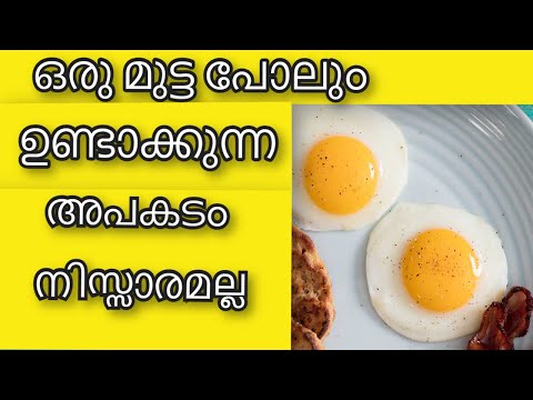 ഒരു മുട്ട പോലും ഉണ്ടാക്കുന്ന അപകടം നിസ്സാരമല്ല | Health Tips Malayalam | Ayurvedha