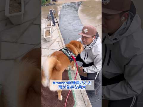 雨の日は配達員さんに甘えたい